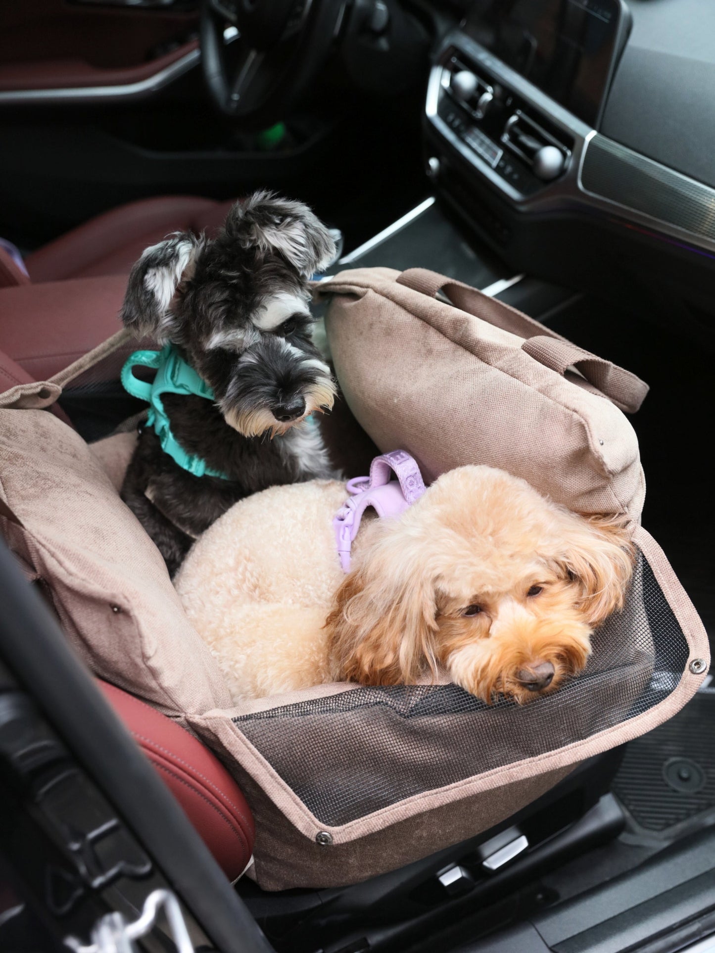 Siège de voiture pour chien Puff Guard - Bleu