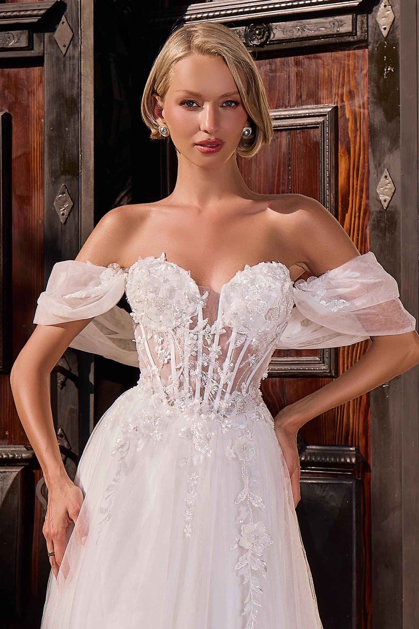 Ladivine CD2426W Off-Shoulder Corset Tulle Ball Gown with Floral Applique