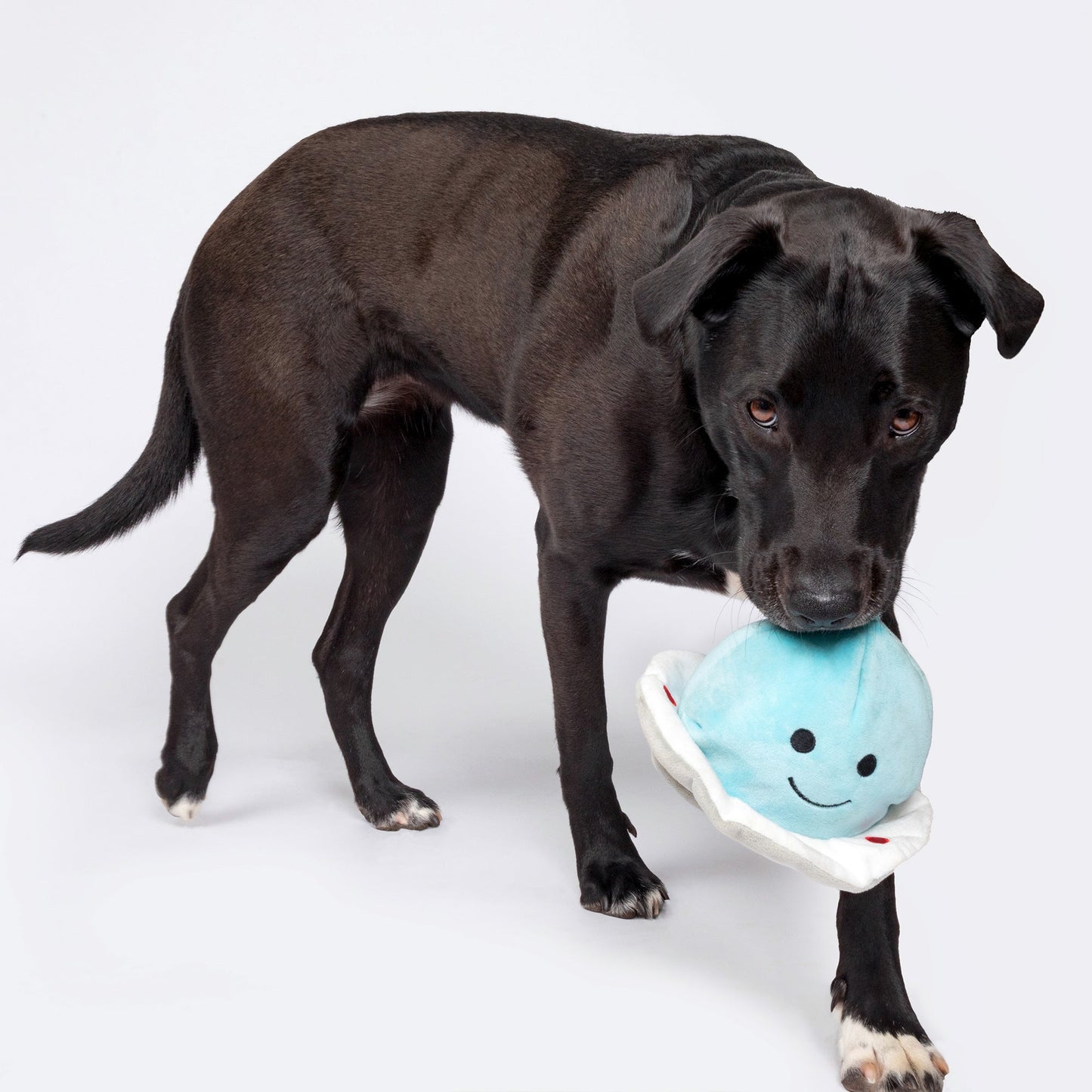 Patchwork Pet Spaceship with Alien 5-inch