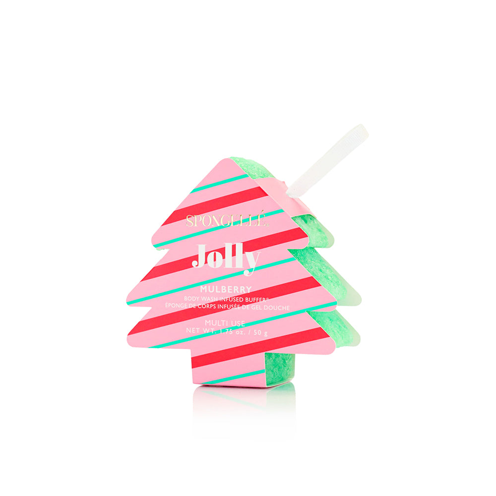 Lot Assorti Multi-usages pour Sapin de Noël