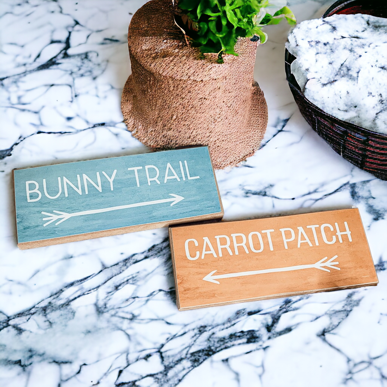 Panneaux de Pâques en Bois en Forme de Carottes "Bunny Trail" Édition Limitée Décoration de Printemps Pastel