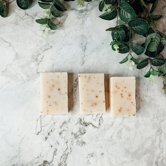 Pain de Savon Exfoliant Arbre à Thé et Menthe avec Feuilles de Menthe Poivrée Beurre de Karité Huiles Naturelles Rafraîchissant