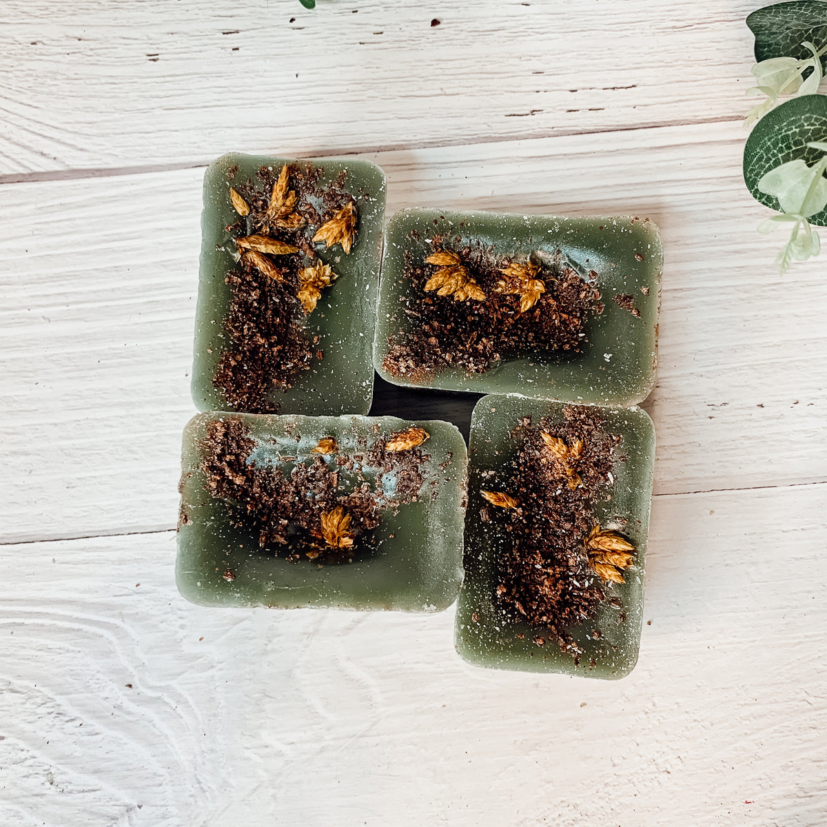 Secret Garden XL Natural Wax Melts 4 Extra Large Citrus Berry Coconut Cubes
