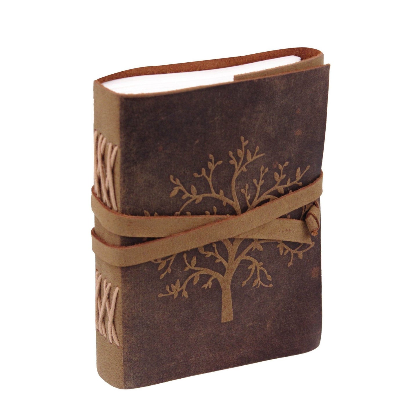 Le carnet Sapling