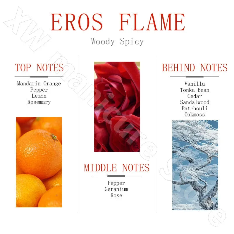 GAVARRY EROS FLAME Men's Cologne – Fresh & Long-Lasting Fragrance (50ml)