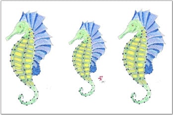 School of Seahorses Placemat | Nautical