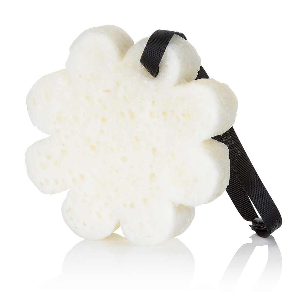 Orchidée Noire | Fleur en boîte