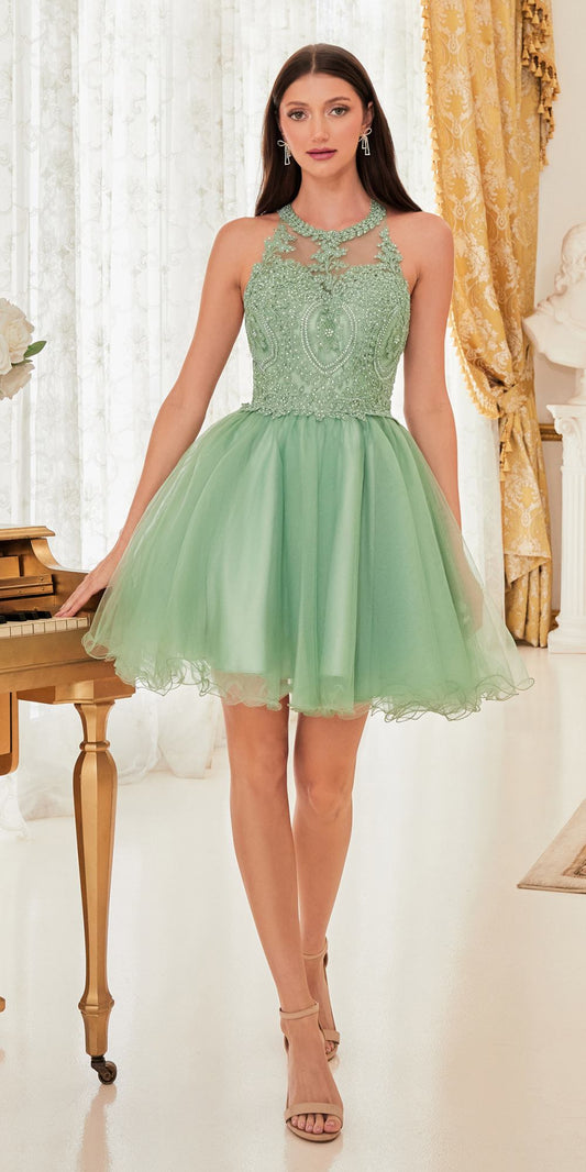 Ladivine UJ0119 Short Appliqued Bodice Halter Tulle Skirt Dress