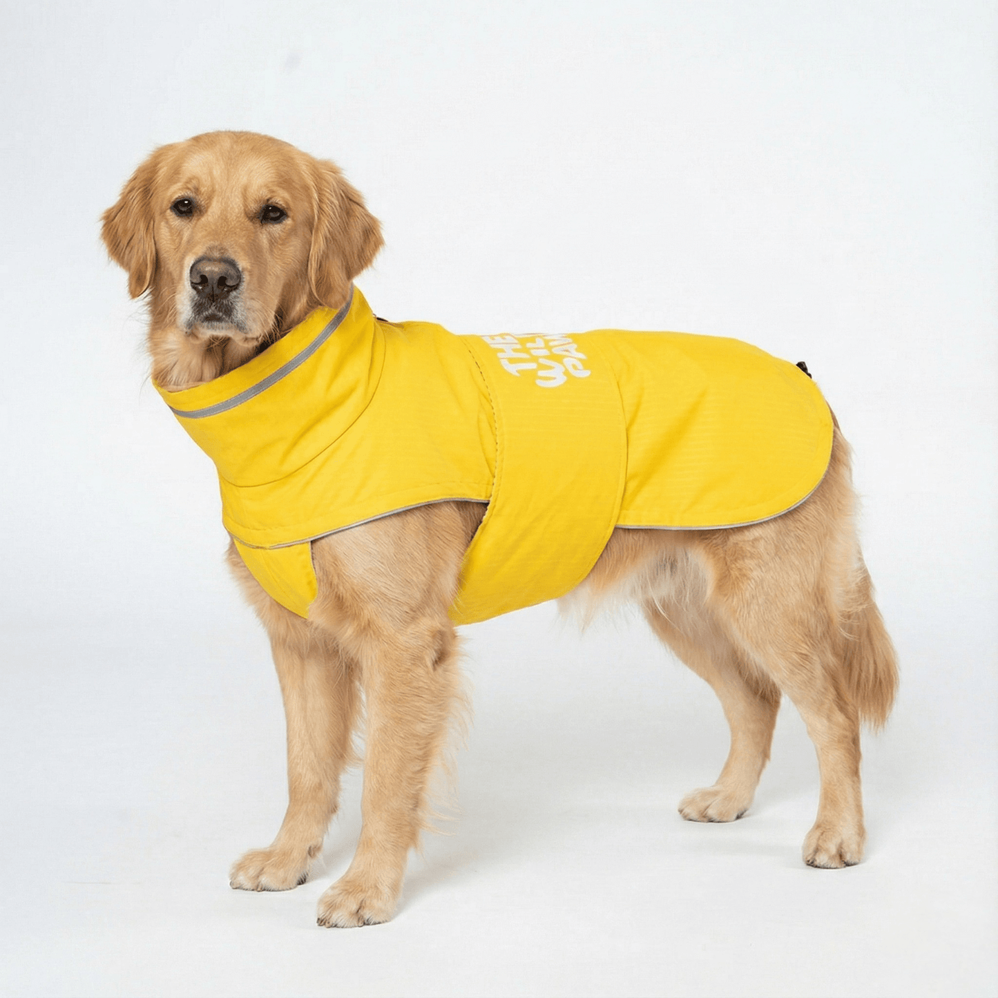 WildGuard Rain Coat