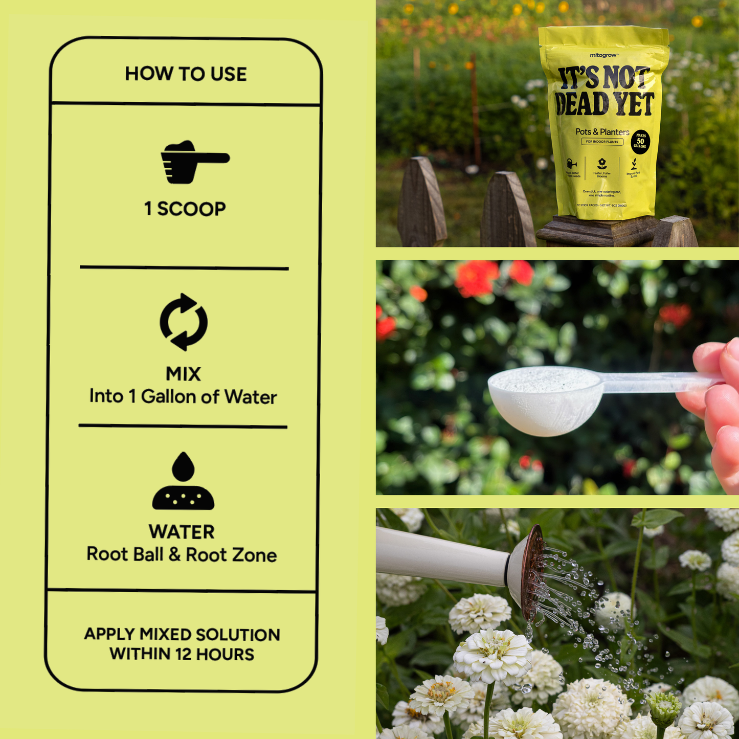 Pots et jardinières