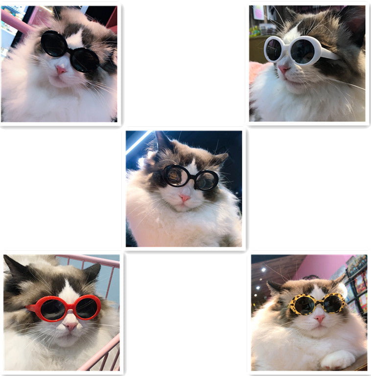 Pet Dog Cat Multi-color Sunglasses Cool Handsome Accessories