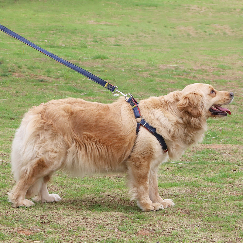 Pipitao Dog Leash Pet Supplies