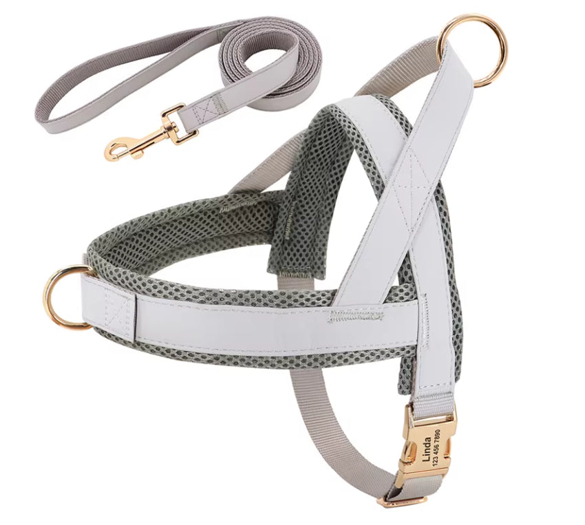 Lettering Large Dog  Vest Chest Harness