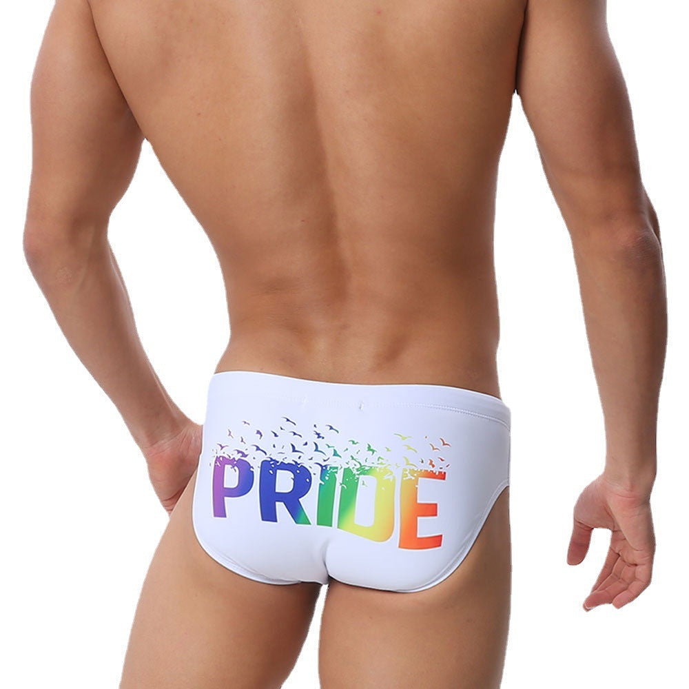 Mens New Printed Briefs Multicolor Print