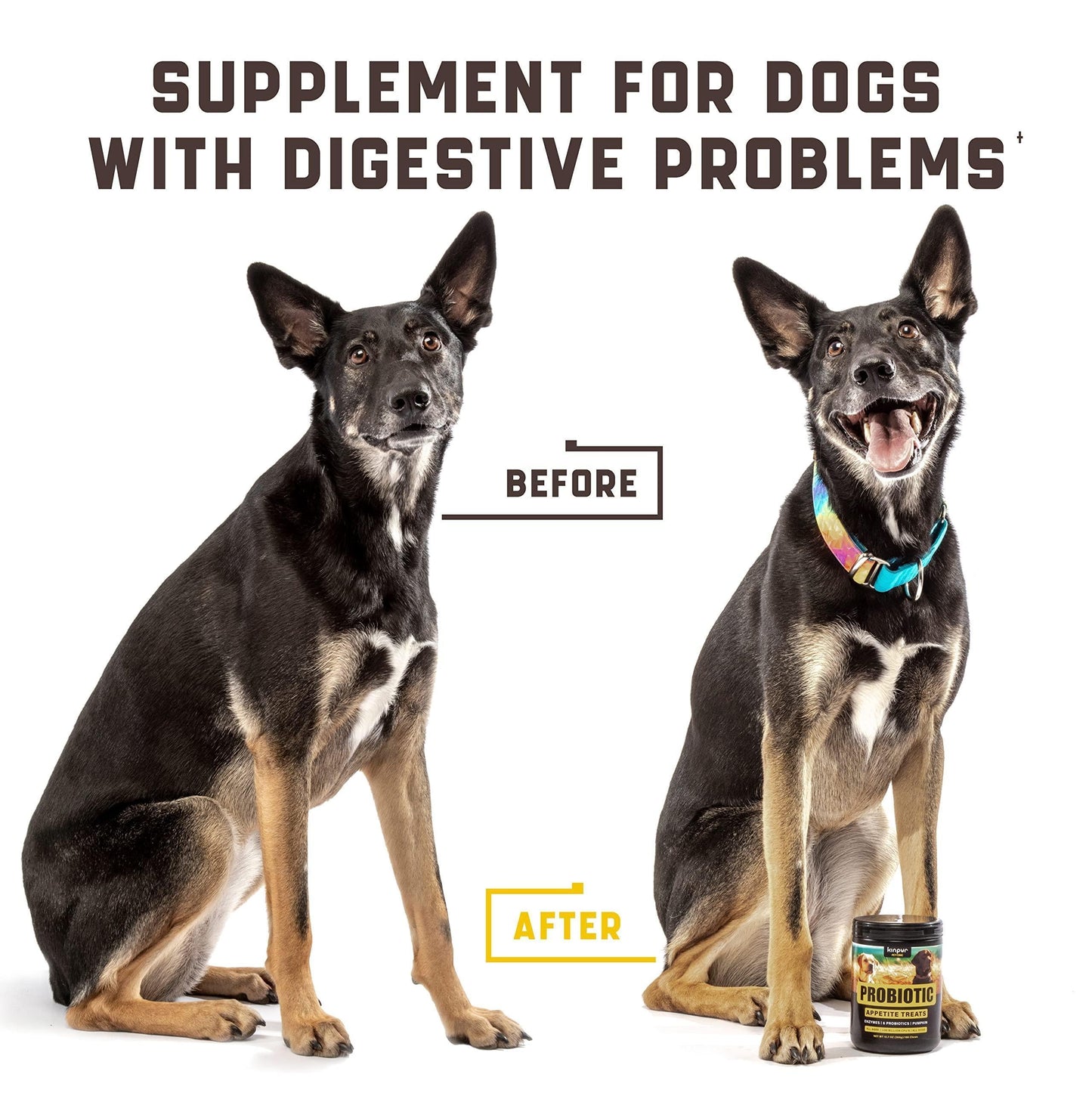 Green & Beautiful Lawn: Reduce yellow patches with green lawn chews for healthy dogs! Easy lower nitrogen in dog urine and deal with unwanted yellow burn spots. Try an amazing grass saver for a clean and vibrant yard! Gut Health for Dogs: Burn spots