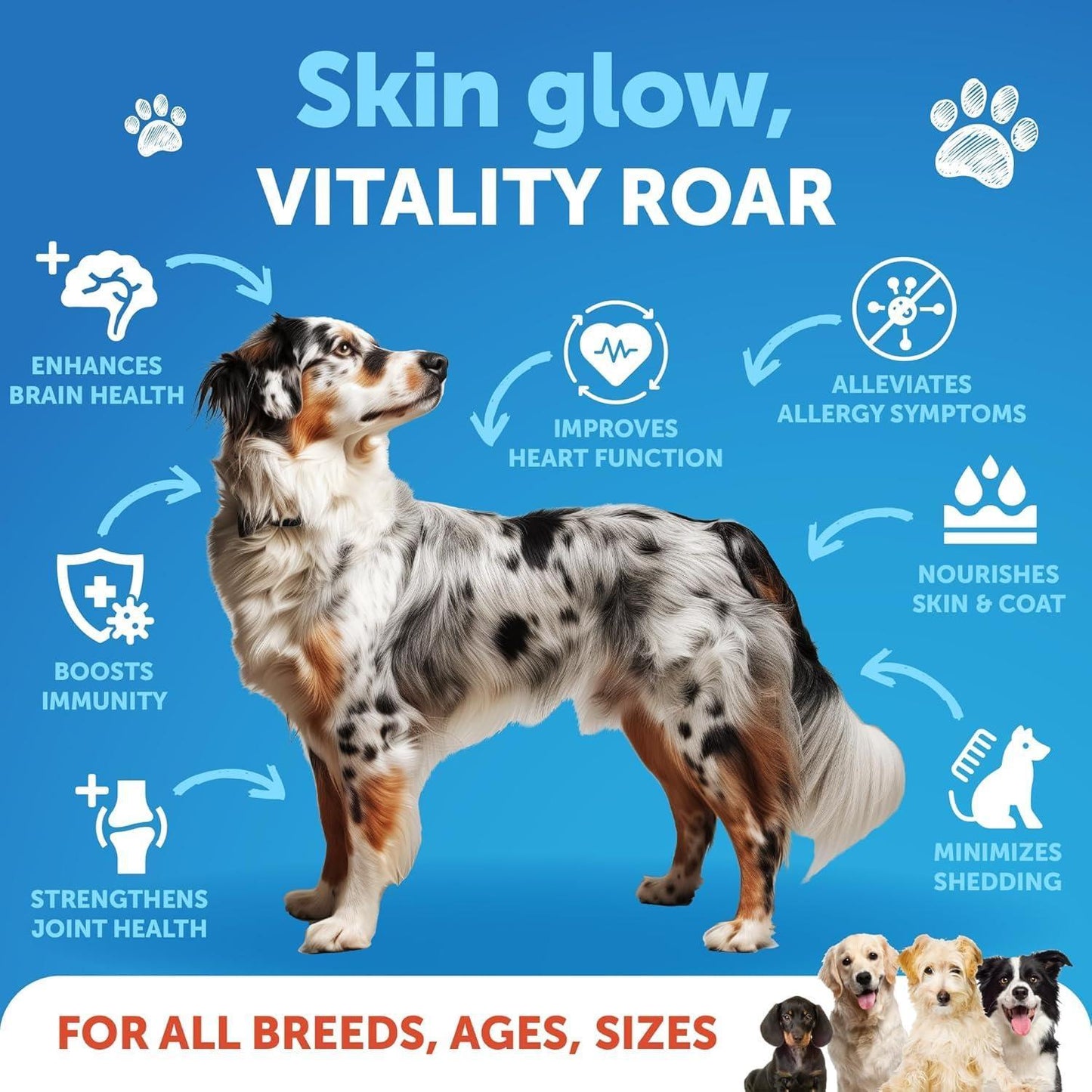Salmon Oil for Dogs 8 fl oz Omega-3 Wild Alaskan EPA