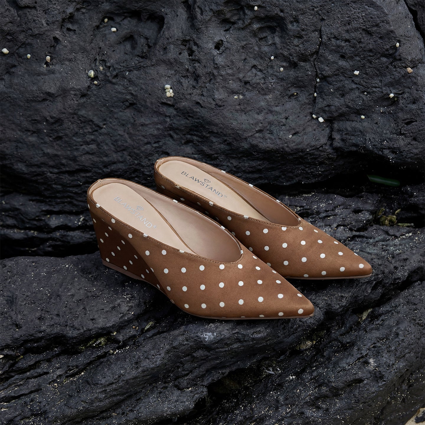 Elegant And Classic Polka-dot Wedge-pointed-toe Pumps