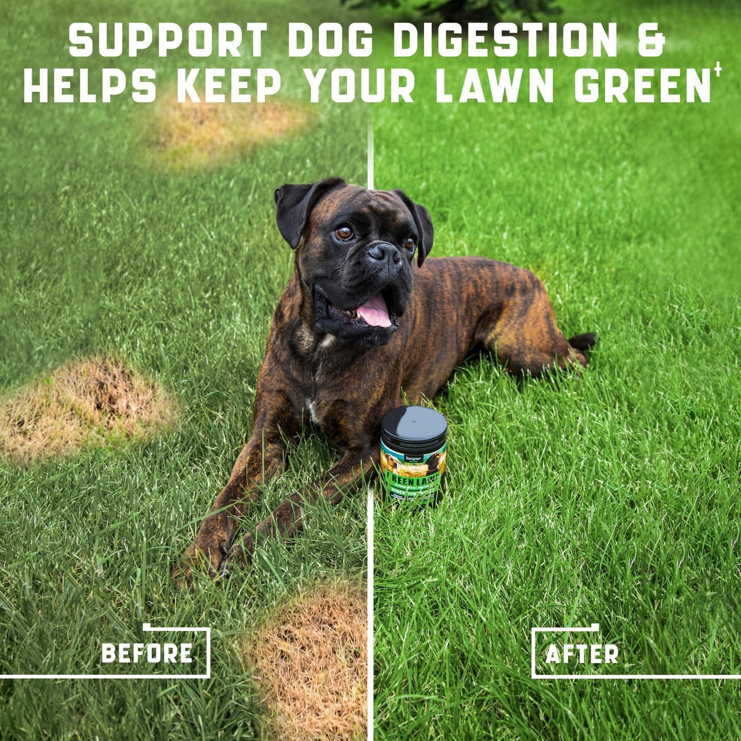 Green Lawn Chews for Dogs Urine Neutralizer Cranberry ACV & Enzymes