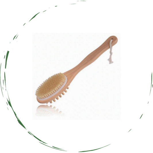 Brosse de massage pour le corps et le bain, manche long en bois, poils naturels, exfoliation spa