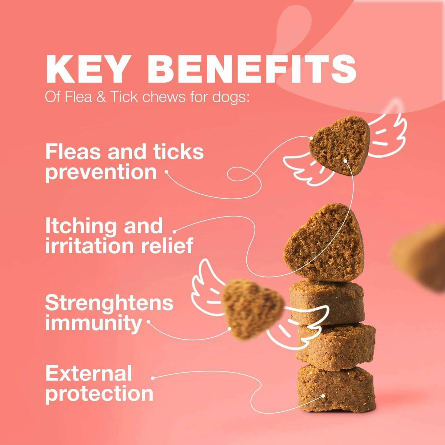 Dog Insects Treatment Chews Insects Control