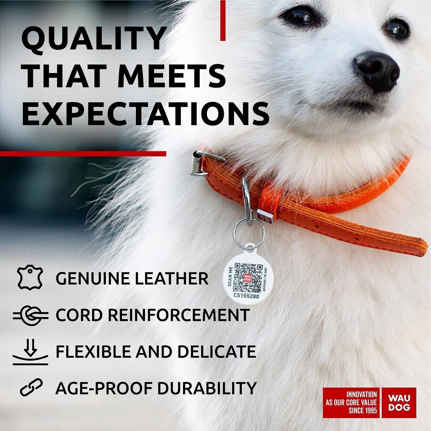 Rolled Leather Dog Collar XSmall Dogs 10–13 in Neck Orange