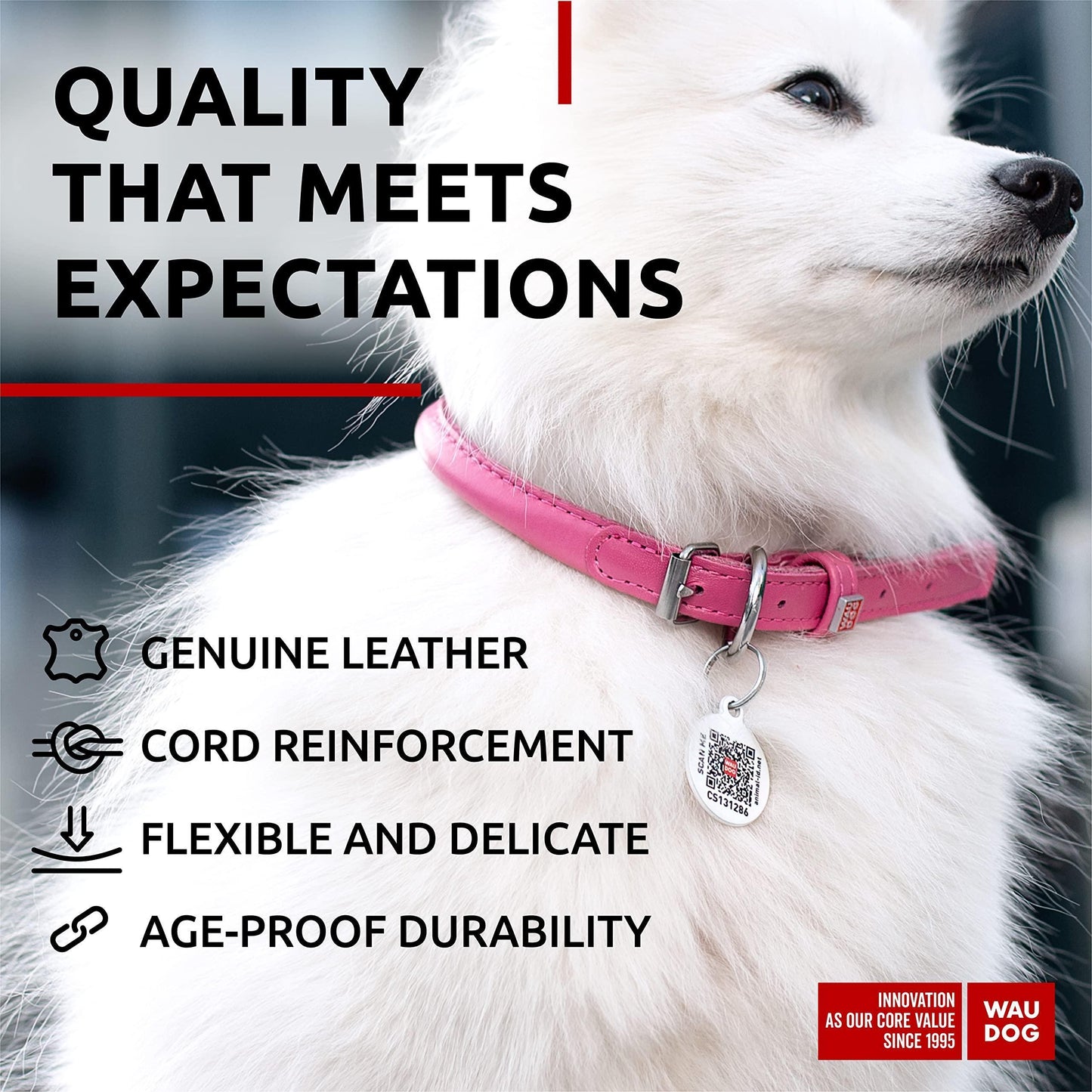 Pink Ultra Soft Rolled Leather Dog Collar 10-13 inch Neck for Small Dogs Soft Padded Dog Collars for Medium Dogs Puppy Collars for Large Breed Dogs Male and Female Dog Collar