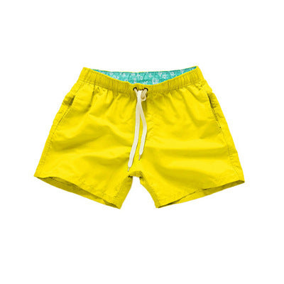 Beach Pants Men's Shorts Summer Surf Pants