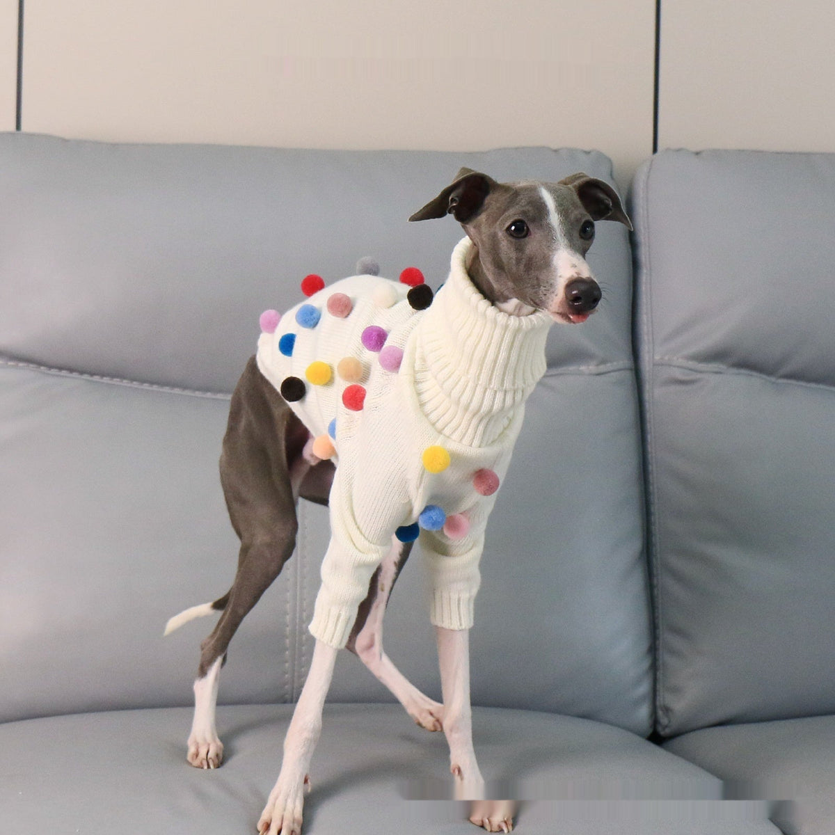New Italian Greyhound Whippet Christmas Sweater