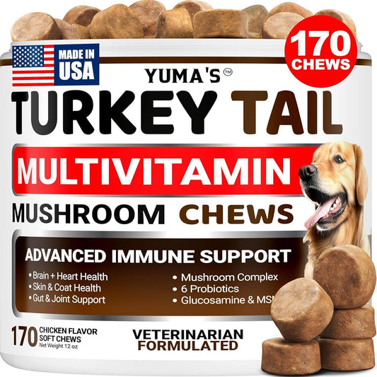 Turkey Tail Mushroom for Dogs Multivitamin Supplement Immune Support