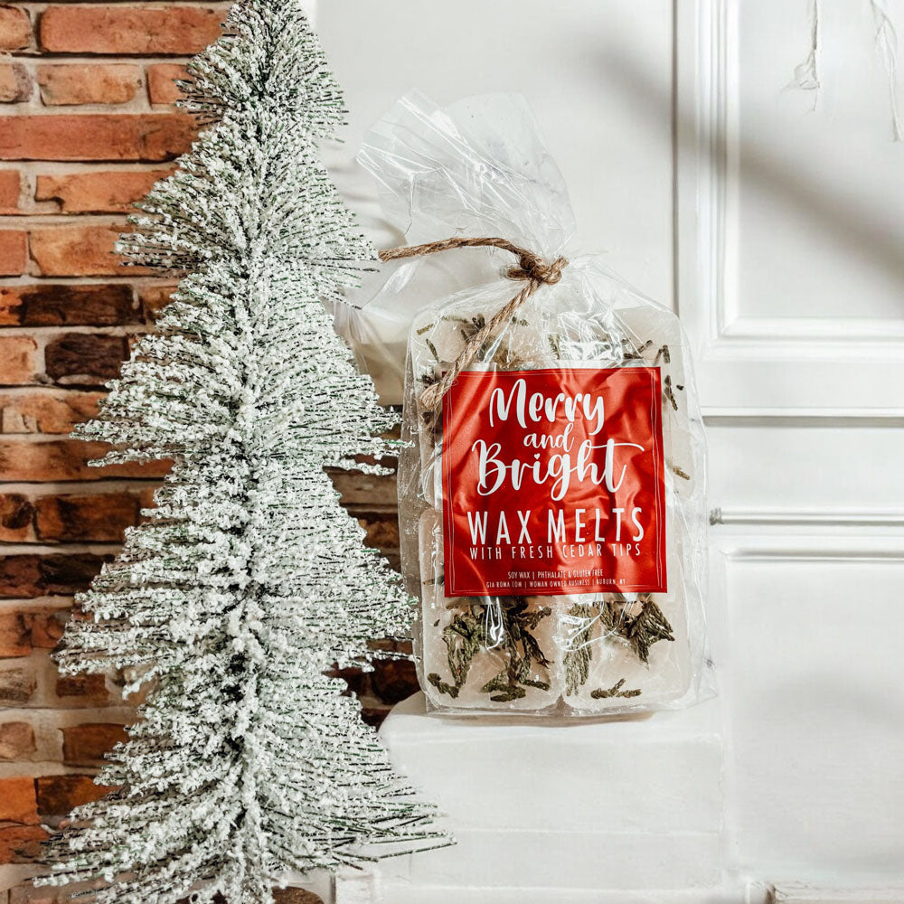 Galets de Cire XL Sapin de Noël 4 Cubes Parfum Doux de Cèdre Frais et de Pin pour les Fêtes