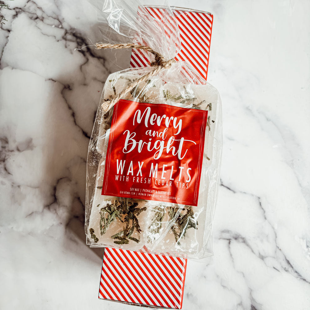 Galets de Cire XL Sapin de Noël 4 Cubes Parfum Doux de Cèdre Frais et de Pin pour les Fêtes