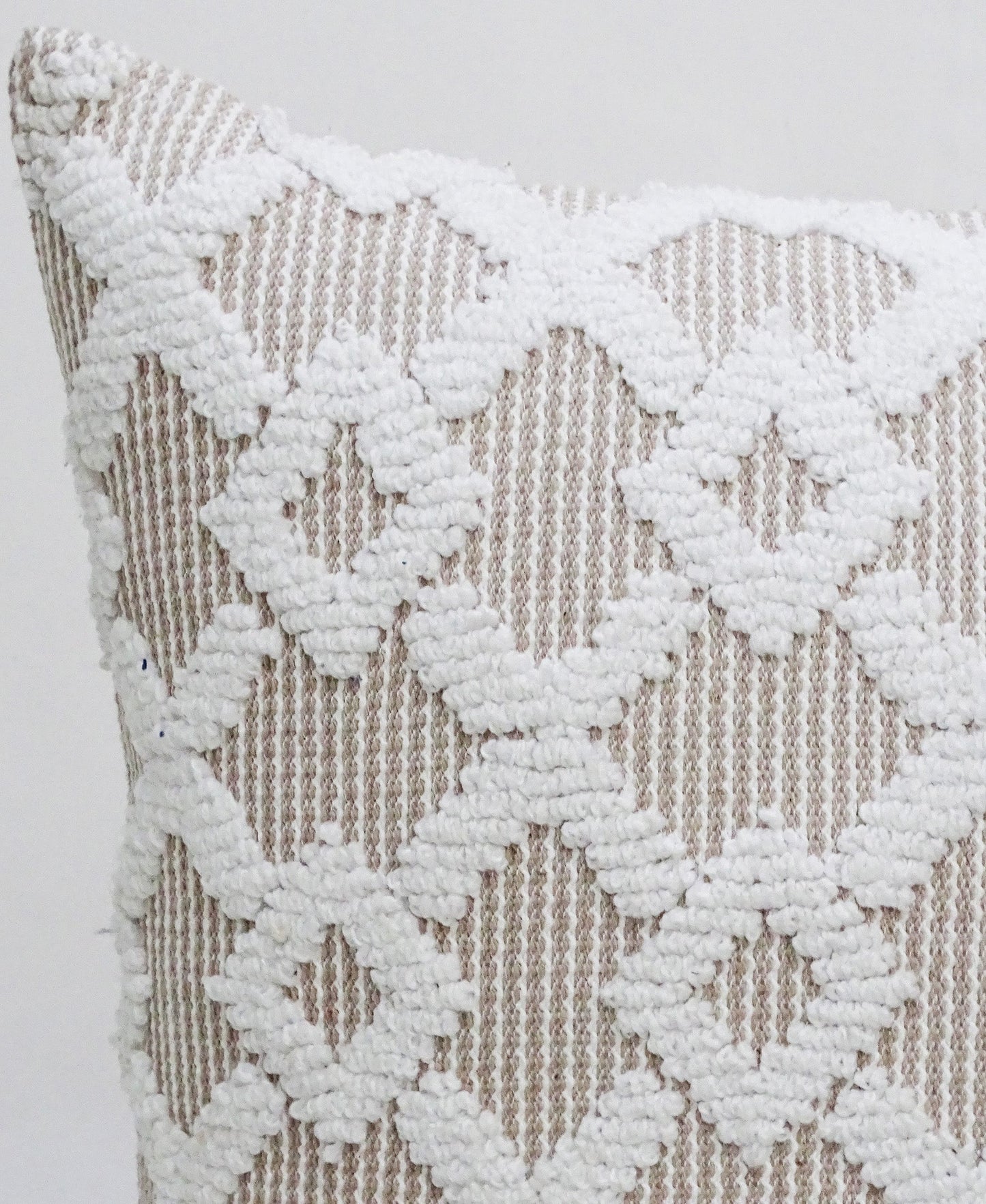Decorative Beige Accent Throw Pillow  20"x20"