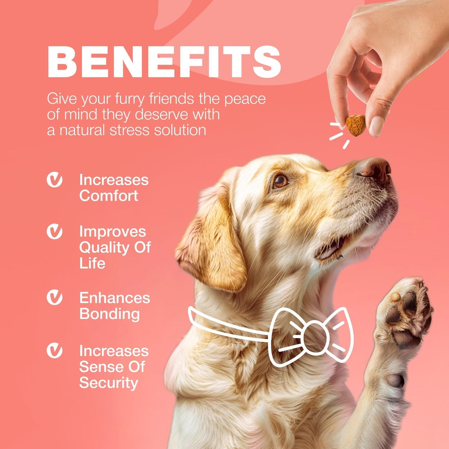 Dog Insects Treatment Chews Insects Control