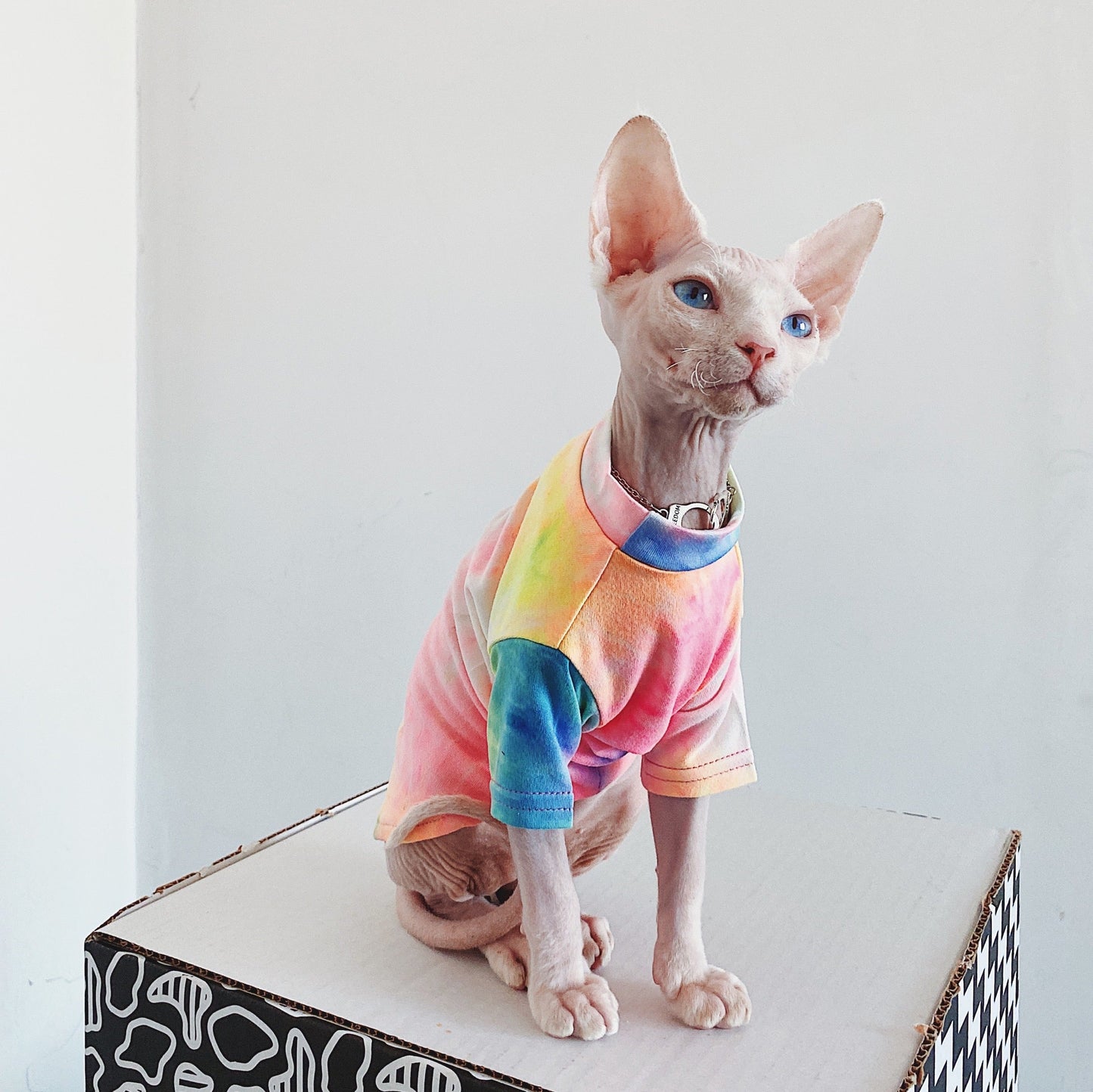 Hairless Cat Clothes Tie-dye Rainbow Primer