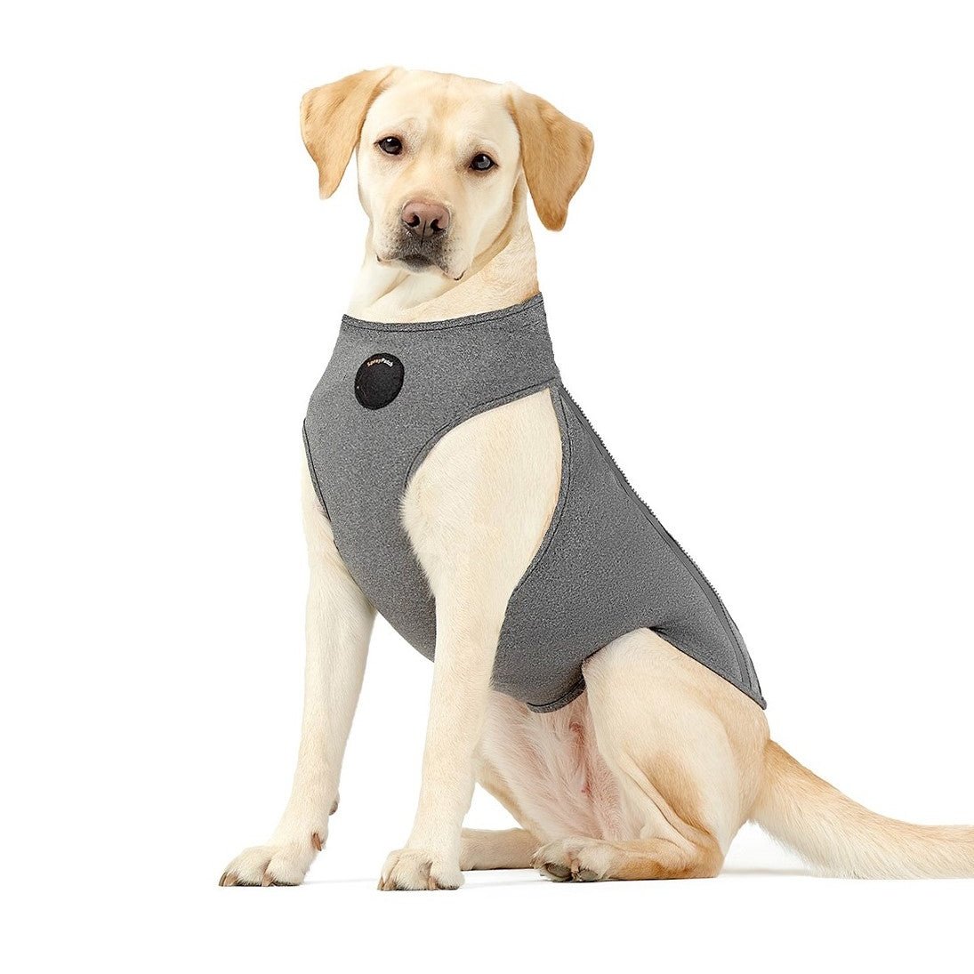 Gilet de récupération chirurgical NeoAlly amélioré pour chiens et chats