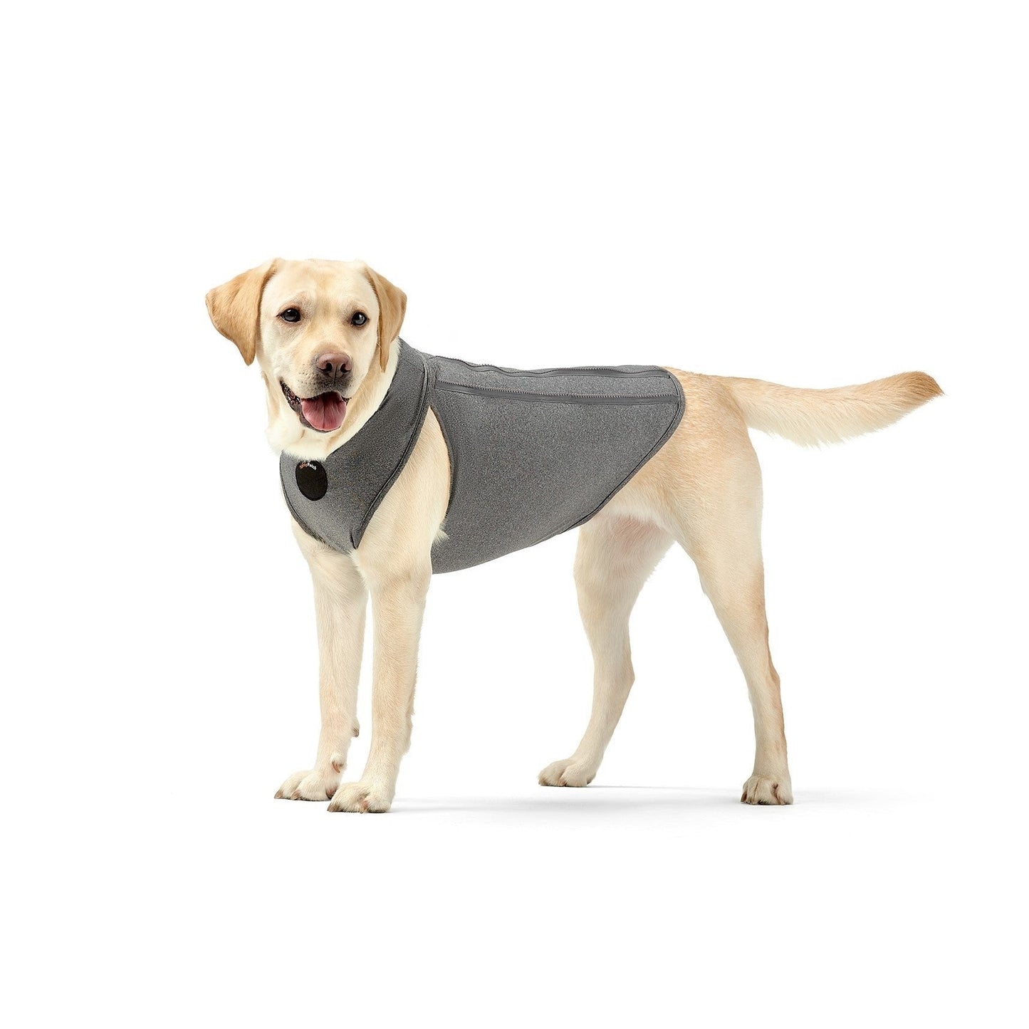 Gilet de récupération chirurgical NeoAlly amélioré pour chiens et chats