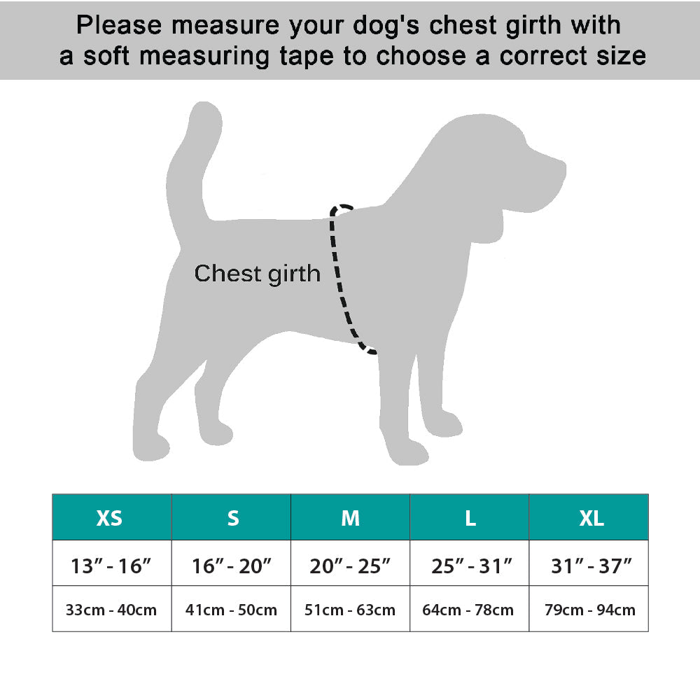 Gilet de récupération chirurgical NeoAlly amélioré pour chiens et chats