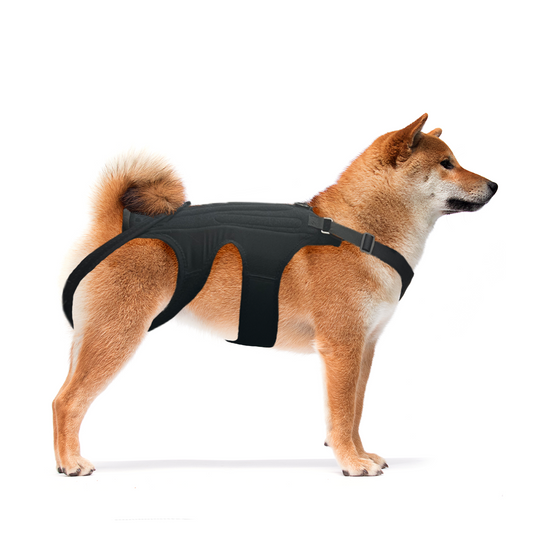 NeoAlly Rückenbandage für Hunde mit Einlagen für zusätzliche Unterstützung