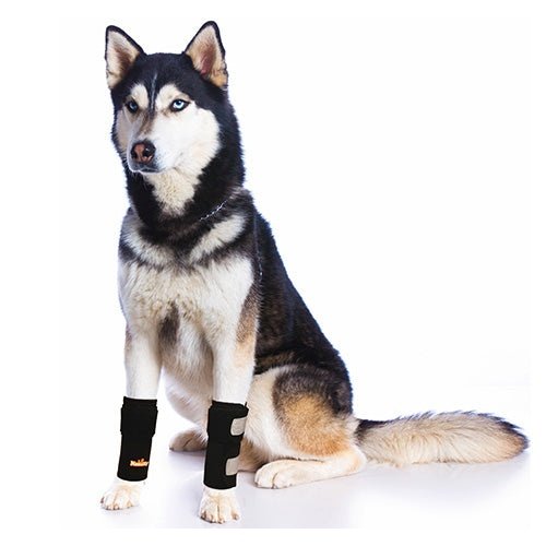 NeoAlly Hunde-Vorderbeinbandagen: Erhöhte Sicherheit durch reflektierende Riemen (Paar)