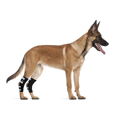 Genouillère arrière pour chien NeoAlly avec sangles réfléchissantes de sécurité pour grands chiens [Version longue]
