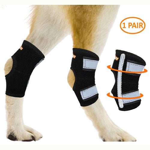 NeoAlly Hinterbein-Sprunggelenkbandage – Metallfederschienen für kleine Hunde [Kurzversion] (Paar)