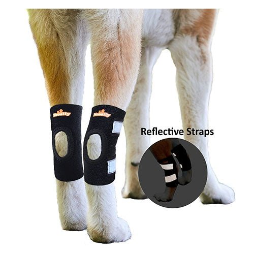 Attelle de soutien pour patte arrière de chien NeoAlly avec sangles réfléchissantes de sécurité pour petits chiens [Version courte]