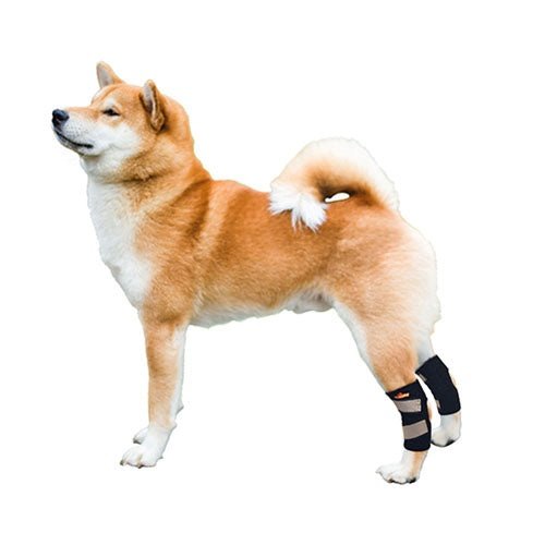 Attelle de soutien pour patte arrière de chien NeoAlly avec sangles réfléchissantes de sécurité pour petits chiens [Version courte]