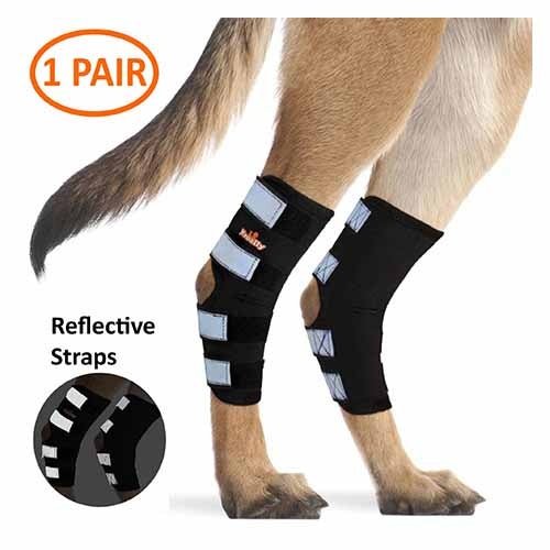 Genouillère arrière pour chien NeoAlly avec sangles réfléchissantes de sécurité pour grands chiens [Version longue]