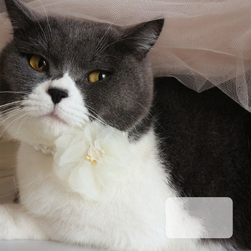 Pet Cat Dog Cute Retro Big Flower Collar Necklace