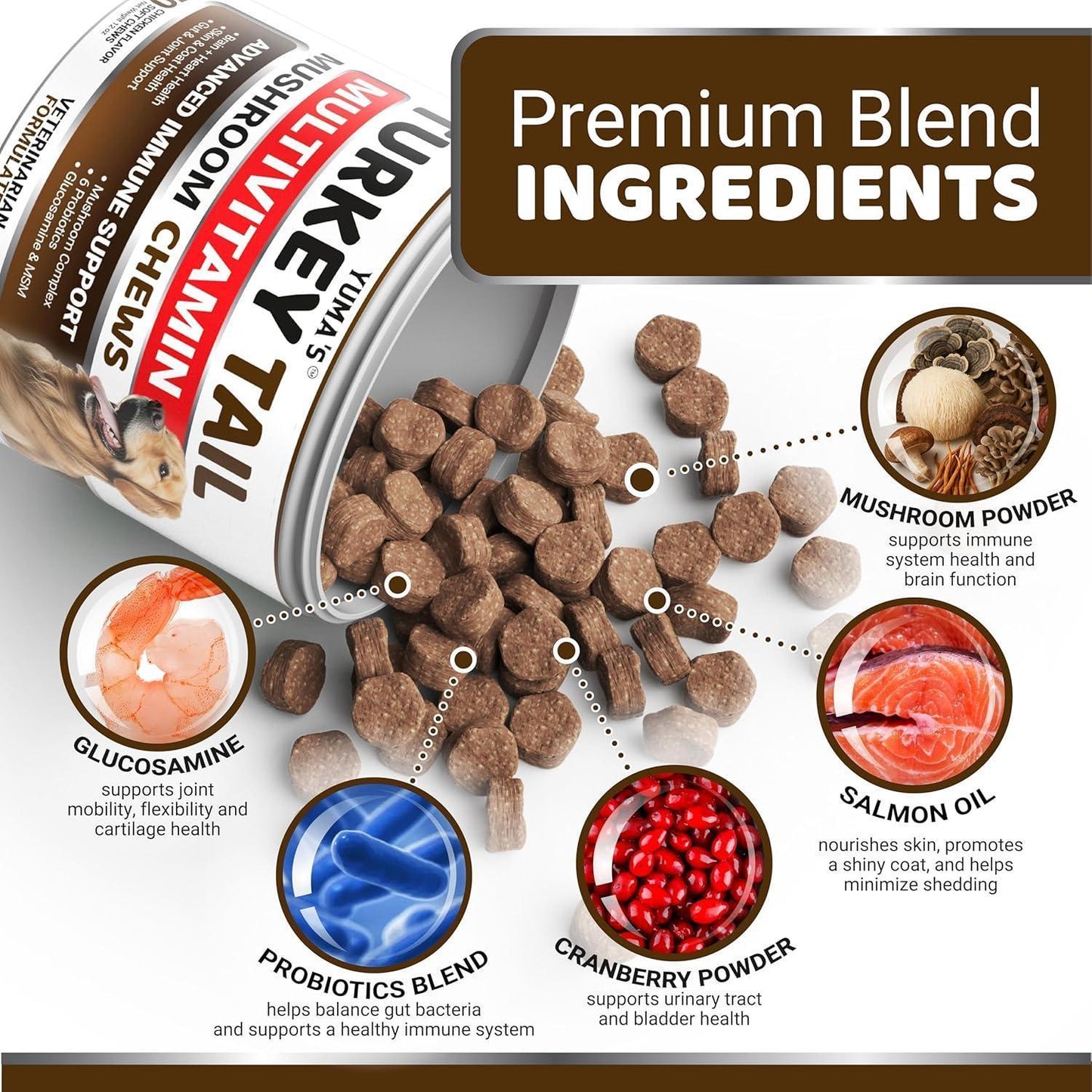 Turkey Tail Mushroom for Dogs Multivitamin Supplement Immune Support