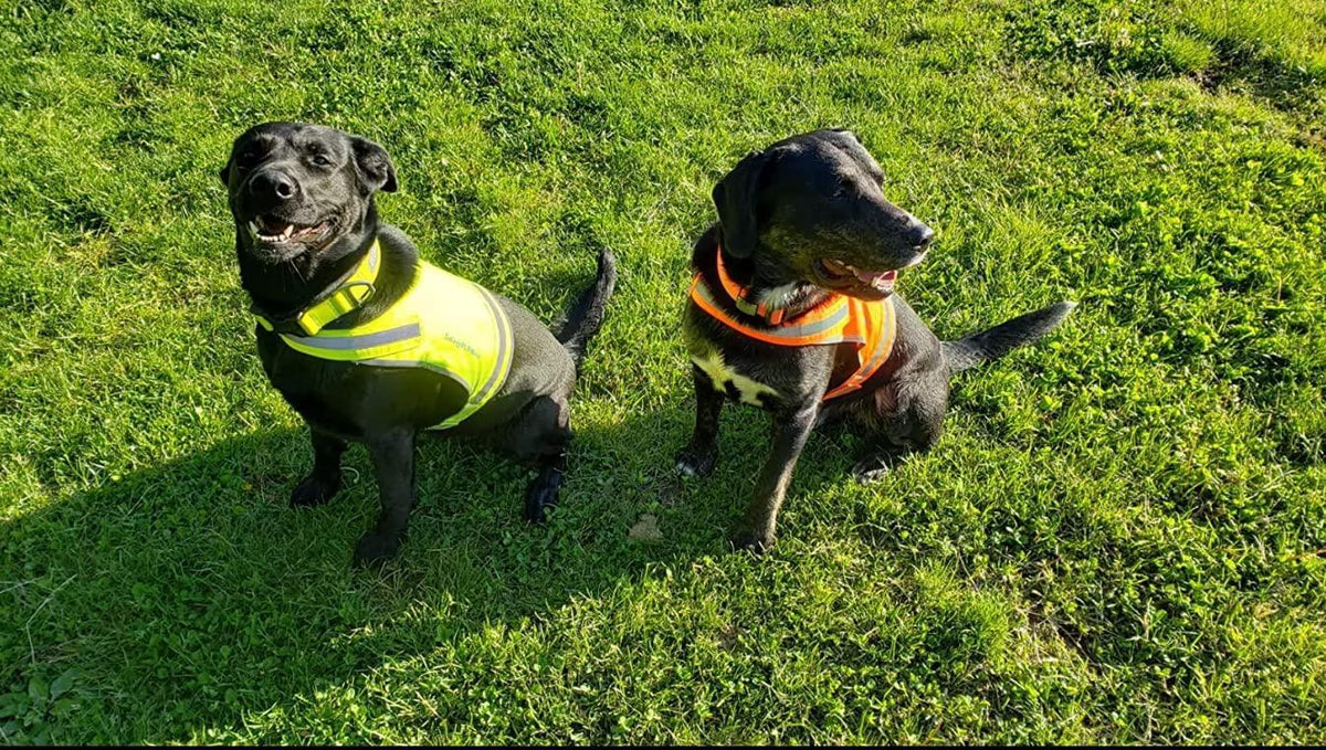 Reflective Lightweight Dog Vest Hi-Vis S Size 27.5 in Chest Mid-Back Coverage Yellow