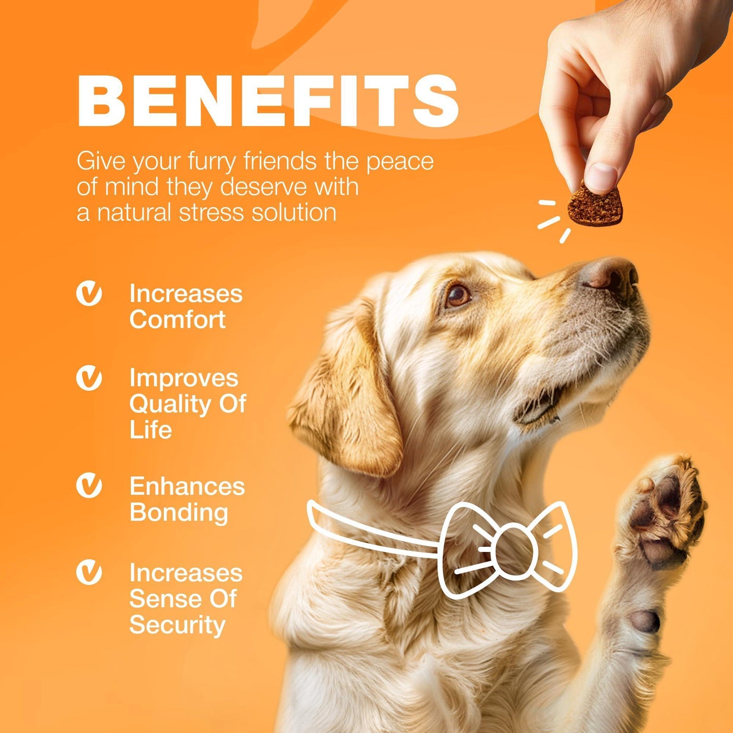 Dog Allergy Relief Chews Itch Relief Anti-Itch