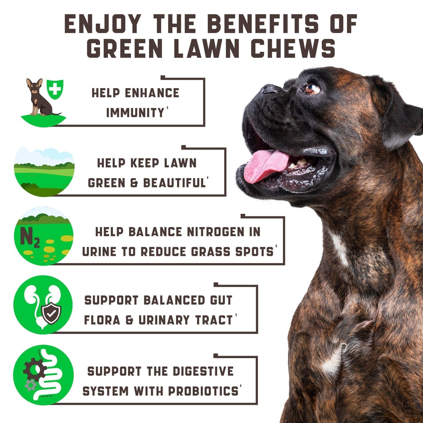 Green Lawn Chews for Dogs Urine Neutralizer Cranberry ACV & Enzymes