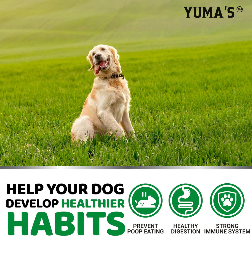 No Poo Chews for Dogs